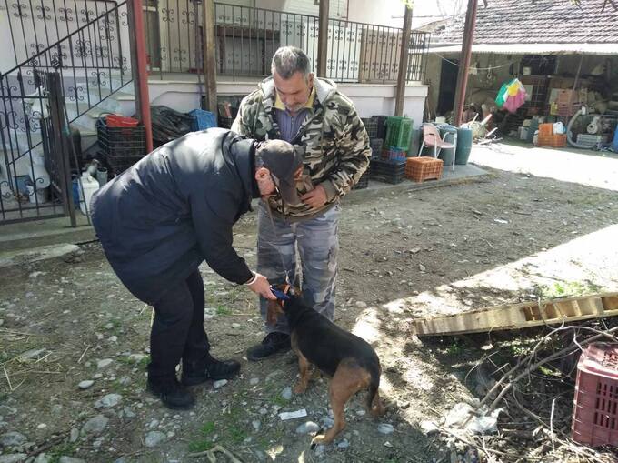 Φωτογραφία Έλεγχοι για δεσποζόμενα ζώα από τον Δήμο Νάουσας